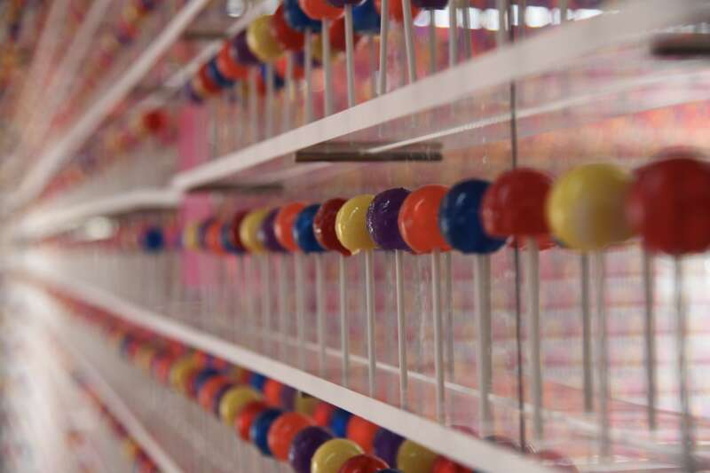 Screen Shot 2021 08 05 at 9 30 55 AM